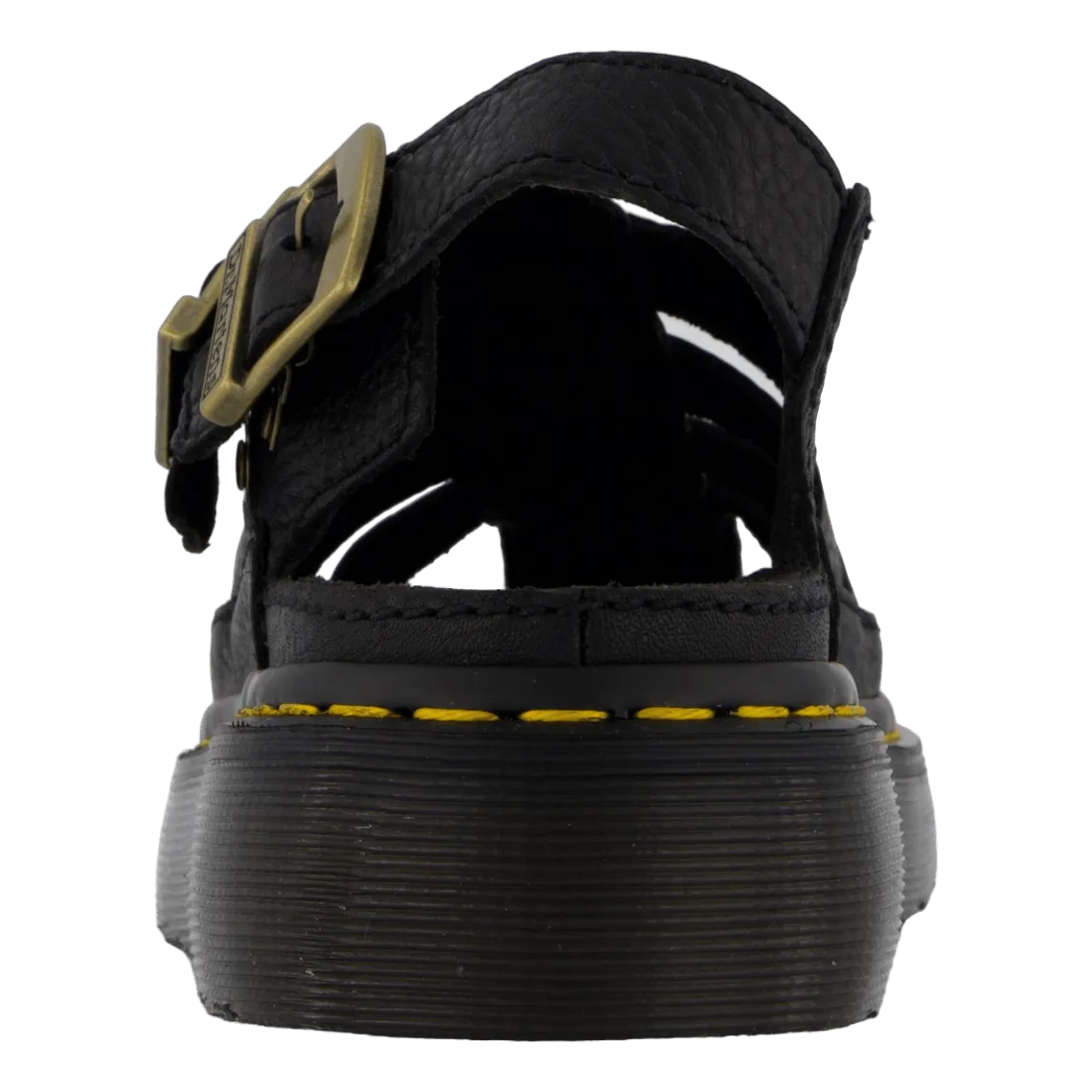 Wrenlie Black Grizzly