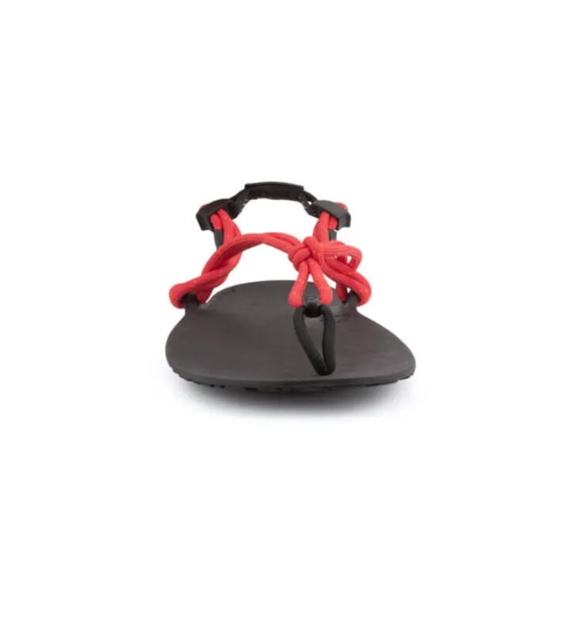 Xero Sandals - Genesis - Currant - Men's