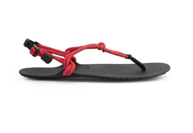 Xero Sandals - Genesis - Currant - Men's