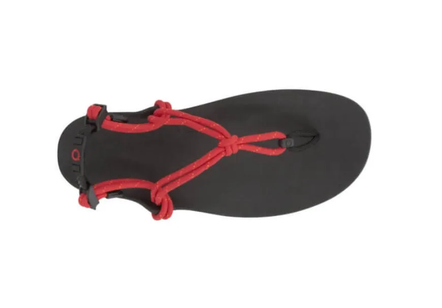 Xero Sandals - Genesis - Currant - Men's
